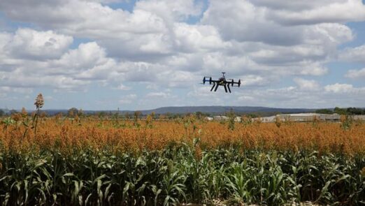 drone-jobs-agriculture